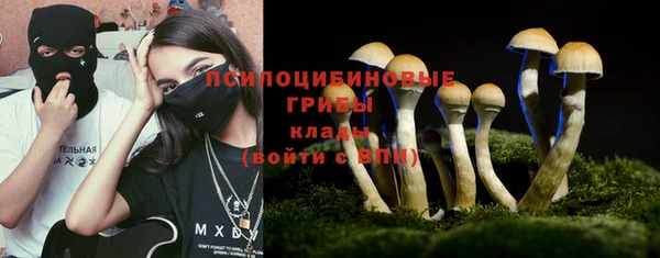 марки nbome Гусев