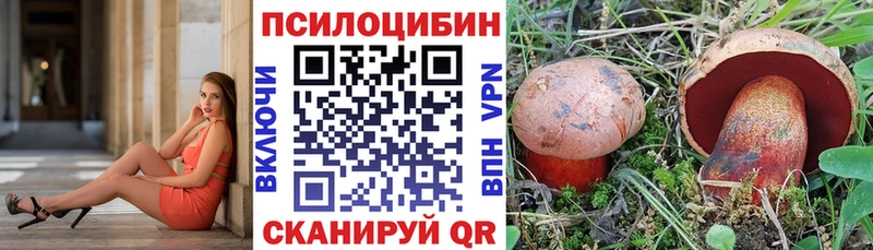 Галлюциногенные грибы Cubensis  Купить где  Ковылкино 
